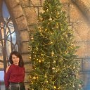 ���� ��������, ������, 45 ��� - ��������� 22 ������� 2026