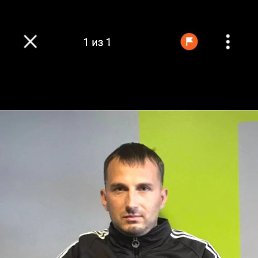 , 33, 