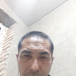 , 46, 