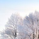 ���� ����, ������, 18 ��� - ��������� 15 �������� 2025 � ������ ���� ����������