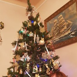 ���� �������, ��������, 67 ��� - ��������� 31 ������ 2024