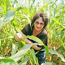  ,  , 65  -  24  2025