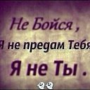 ���� �����, �����-���������, 43 ���� - ��������� 8 ������ 2023 � ������ ���� ����������