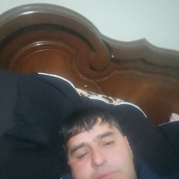 ������, �������, 37 ���