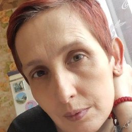 �����, ������, 51 ���