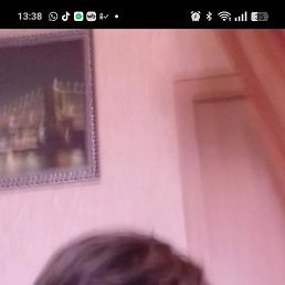 �������, ���������, 60 ���