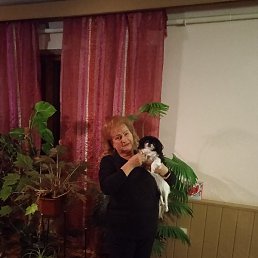 ���������, ������, 67 ���