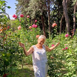 �����, ������, 62 ����