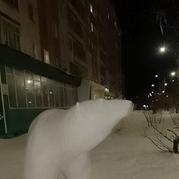 ���, ��������, 37 ���