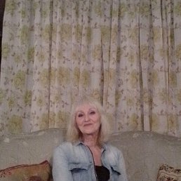 ���� ����� �������, �����, 67 ��� - ��������� 7 ������ 2026