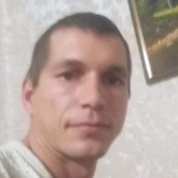 �����, �������, 41 ���