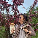 ���� �����, �����-���������, 59 ��� - ��������� 30 ��� 2025 � ������ ���� ����������