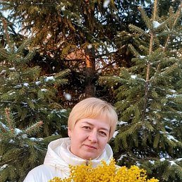 ���� �����, �����������, 41 ��� - ��������� 6 ����� 2026