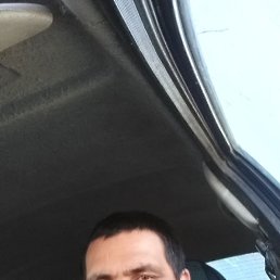 ����, 42 ����, ���������