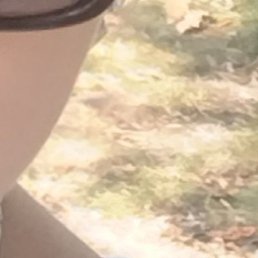 ������, ������, 38 ���