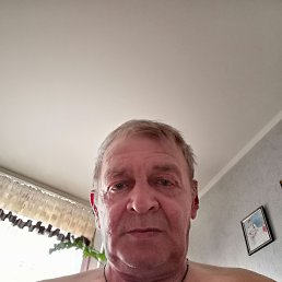 , 61, 