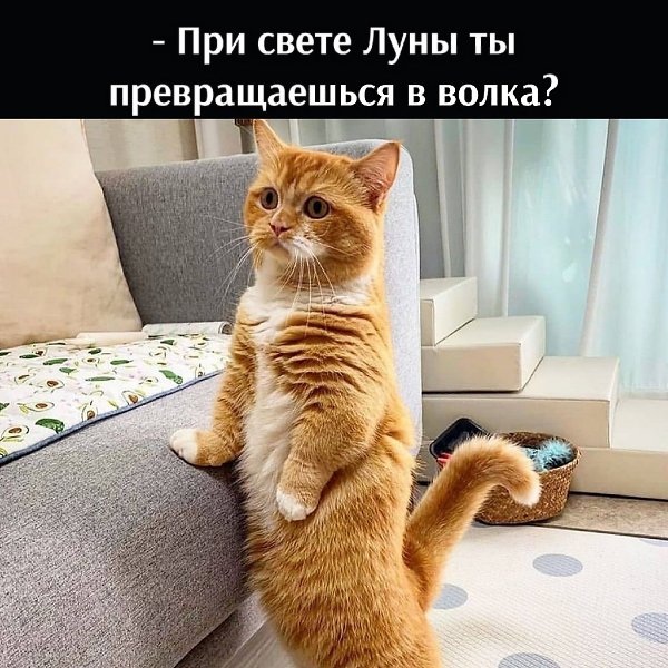       - 17  2025  21:32 - 2