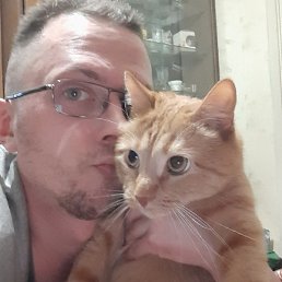 �����, �����-���������, 40 ���