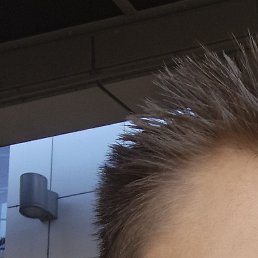 Dima, �����, 24 ����