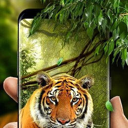 �������!!!