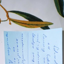 ��������, ������ ��������, 49 ���