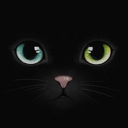 �����, ���������, 43 ����