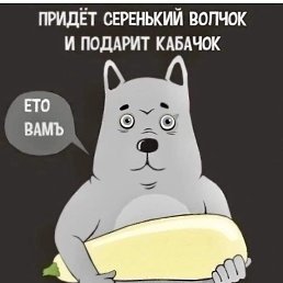 ���� ����, �����, 48 ��� - ��������� 27 ������� 2024