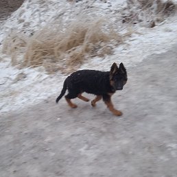 �����, ������, 53 ����