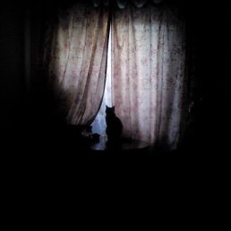 ������� �� ����, ����������, 47 ���