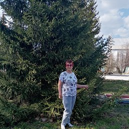 , 67, 