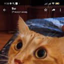 ���� ���������, ������, 48 ��� - ��������� 30 ������� 2023