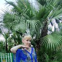 ���� �����, ������-��-����, 44 ���� - ��������� 10 ������� 2025 � ������ ���� ����������