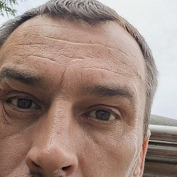 �����, ������, 40 ���