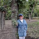 ���� ���������, ���������, 72 ���� - ��������� 6 ������� 2026