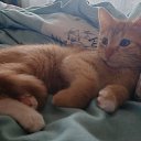   ** 193+*,  -  26  2025    