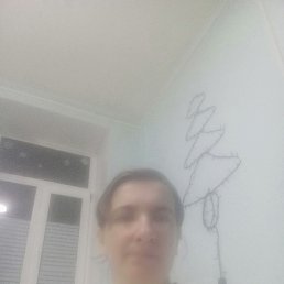 ���, 41 ���, ������