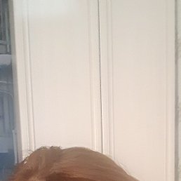 �������, �����������, 51 ���