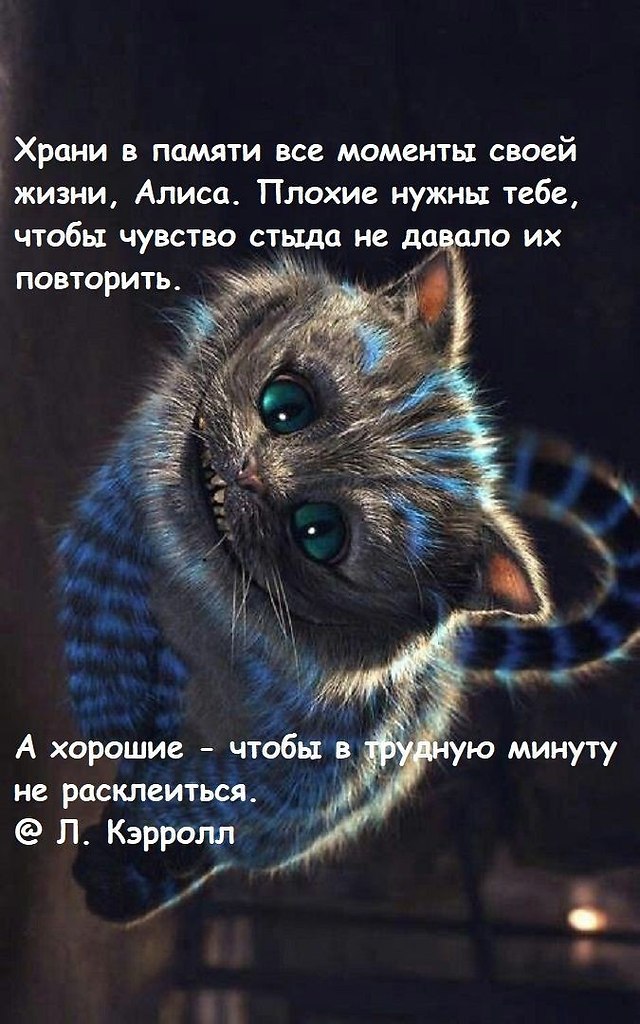   - 7  2025  01:06