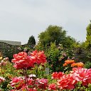 ���� �����, ����� - ��������� 4 ��� 2025