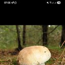 ���� ����, ������, 45 ��� - ��������� 3 ������� 2026