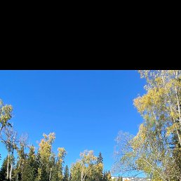 ���� ����, �����, 51 ��� - ��������� 8 ������� 2026