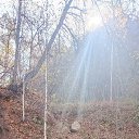 ���� �������, ��������, 59 ��� - ��������� 21 ������ 2026 � ������ ���� ����������