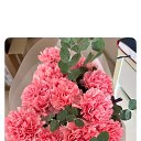 ���� &&&&, ������ �������� - ��������� 12 ��� 2025 � ������ ���� ����������