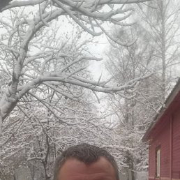 , 41, 