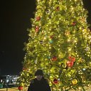 ���� ����, ���������, 41 ��� - ��������� 26 ���� 2025