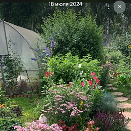 ���� ������, ����������, 66 ��� - ��������� 23 ������� 2025