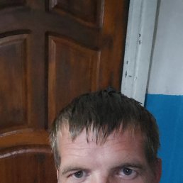 , 37, 