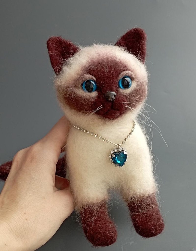 �y����������������.