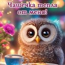 ���� �����, �����-���������, 57 ��� - ��������� 1 ������� 2023 � ������ ���� ����������