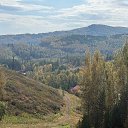 ���� ������, ������������ - ��������� 15 �������� 2026 � ������ ������ ��������